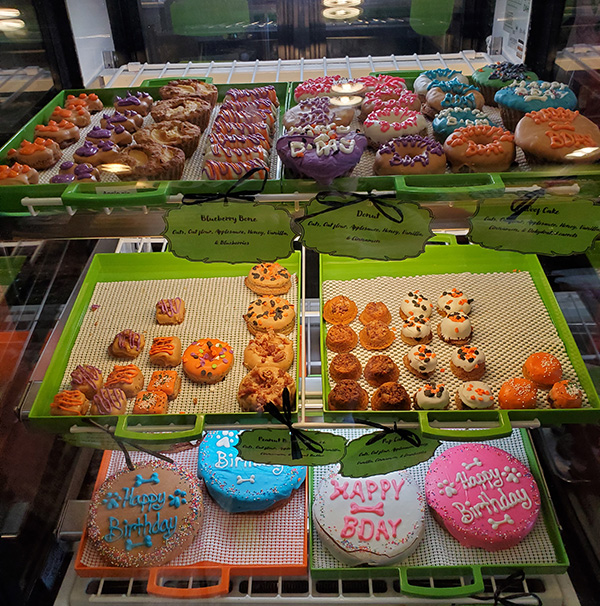 Dog Bakery Display