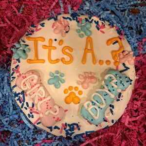 Gender Reveal Cake (Bone or Round)